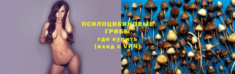 Псилоцибиновые грибы Magic Shrooms  кракен сайт  Елабуга 